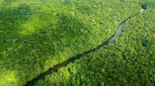 노르웨이 정부가 아마존 열대우림 보호를 위해 국제사회의 기구를 통해 조성되는 ‘아마존 기금’에 대한 신규 기부를 중단하면서 기금이 폐지될 위기에 빠졌다./브라질 뉴스포털 UOL