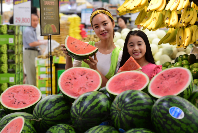 18일 오전 이마트 성수점에서 모델들이 300m 이상 고지대에서 재배된 당도 높은 고랭지 수박을 30% 할인된 가격에 소개하고 있다. /권욱기자