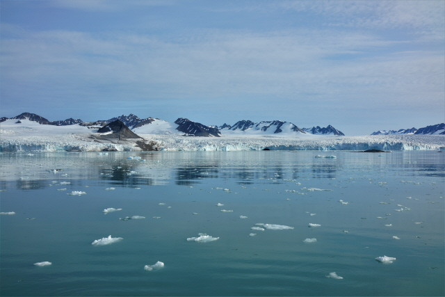 지구온난화로 빙하가 녹으며 생겨난 작은 유빙들이 북극해를 떠다니고 있다./사진=김석동