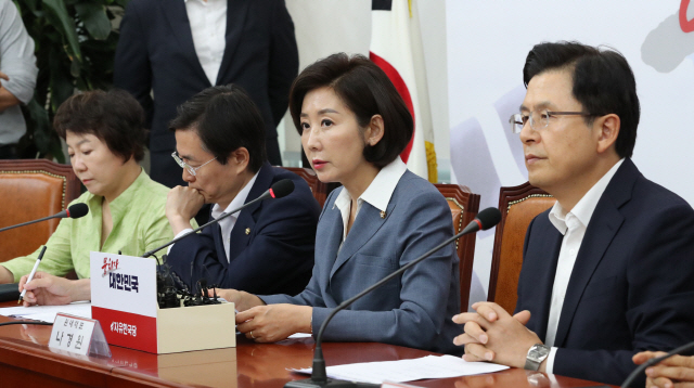 나경원 한국당 원내대표가 21일 국회에서 열린 최고위원-중진의원 연석회의에서 발언하고 있다./연합뉴스