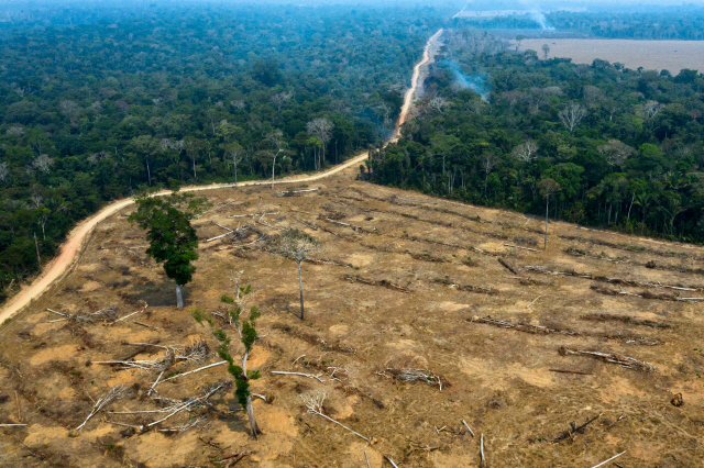 지난 24일(현지시간) 브라질 아마존 열대우림 일부가 산불로 황폐화돼 있다. /AFP연합뉴스