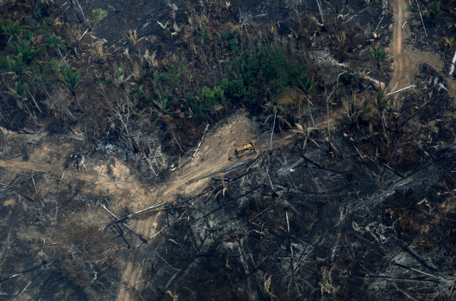 24일(현지시간) 브라질 아마존 열대우림 산불로 인해 잿더미로 변해버린 숲을 헤치고 한 차량이 이동하고 있다. 올 들어 아마존 열대우림에서 발생한 산불은 7만여건으로 지난해 같은 기간보다 83%나 급증했다.  /보카도아크리=로이터연합뉴스
