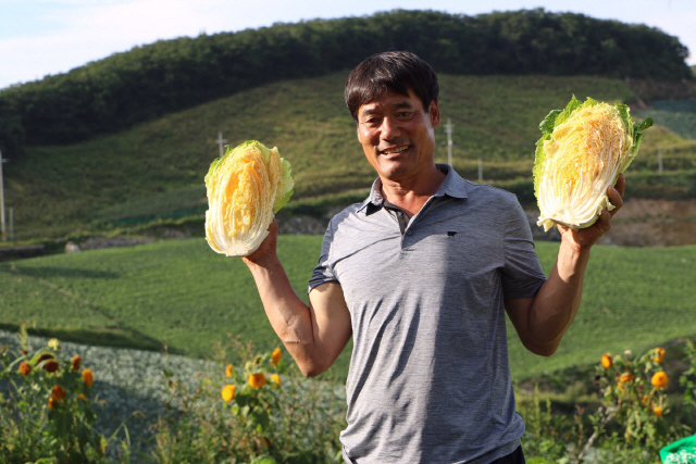 국내 최대 고랭지 채소 산지인 강릉 안반데기 마을에서 배추농사를 짓고 있는 김관영 농민이 황금배추를 양손에 들고 활짝 웃고 있다. /사진제공=CJ프레시웨이