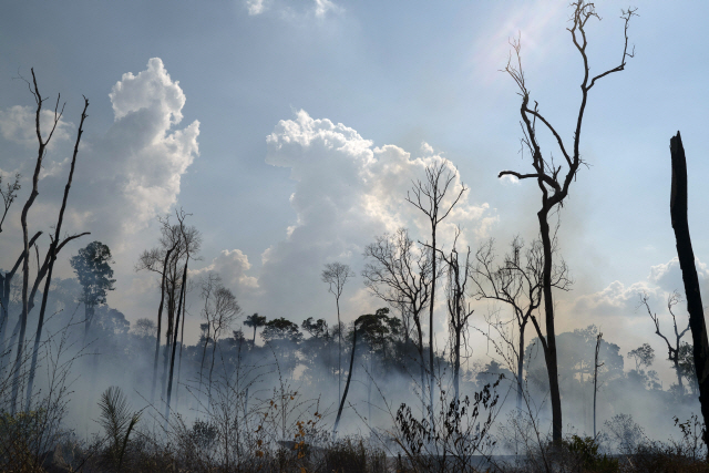 AP통신에 따르면 25일(현지시간) 주요 7개국(G7) 지도자들은 아마존 열대우림 화재 진압을 위해 브라질 정부를 돕기로 했다. 사진은 25일(현지시간) 브라질 파라 주에 있는 아마존에서 산불이 난 모습. /AP=연합뉴스