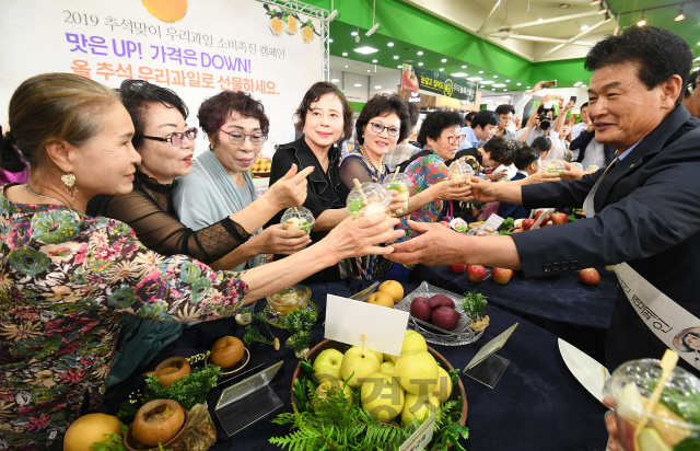 민족 대명절 추석을 보름 앞둔 29일 서울 서초구 농협 하나로마트 양재점에서 농림축산식품부와 농협경제지주, 농협 조합장, 생산 및 소비자단체 관계자들이 '2019 추석맞이 우리과일 소비촉진 홍보 캠페인'을 벌이고 있다./오승현기자 2019.8.29