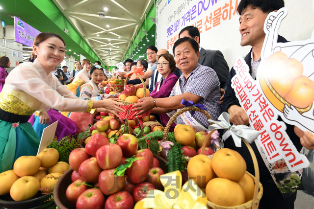 민족 대명절 추석을 보름 앞둔 29일 서울 서초구 농협 하나로마트 양재점에서 농림축산식품부와 농협경제지주, 농협 조합장, 생산 및 소비자단체 관계자들이 '2019 추석맞이 우리과일 소비촉진 홍보 캠페인'을 벌이고 있다./오승현기자 2019.8.29