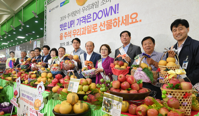 민족 대명절 추석을 보름 앞둔 29일 서울 서초구 농협 하나로마트 양재점에서 농림축산식품부와 농협경제지주, 농협 조합장, 생산 및 소비자단체 관계자들이 '2019 추석맞이 우리과일 소비촉진 홍보 캠페인'을 벌이고 있다./오승현기자 2019.8.29