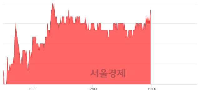 <코>풍국주정, 4.26% 오르며 체결강도 강세 지속(112%)
