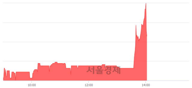 <코>신성델타테크, 매수잔량 1291% 급증