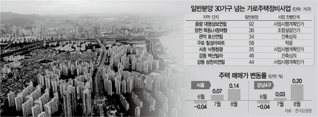 [단독] 상한제發 공급위축 … 서울시도 국토부에 우려 표명