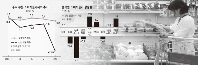 [물가 사상 첫 '마이너스']'소비 위축...이미 디플레 진입' vs '유가급락·폭염 기저효과 탓'