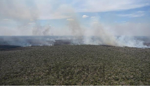 아마존 열대우림에서 발생한 산불로 연기가 나고 있다. /연합뉴스