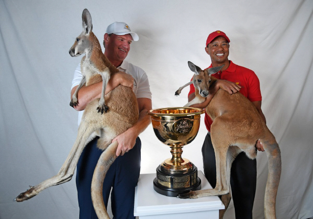 세계연합팀 단장 어니 엘스(왼쪽)와 미국팀 단장 타이거 우즈가 프레지던츠컵 홍보행사에서 개최지 호주를 상징하는 동물인 캥거루를 안고 포즈를 취하고 있다. /출처=옴니스포츠 트위터