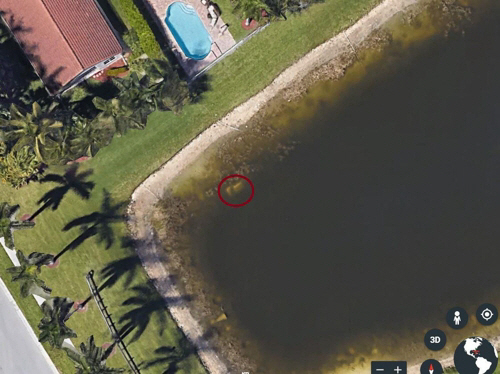 '구글어스' 보다가 찾은 호수 밑 차량, 알고보니 섬뜩