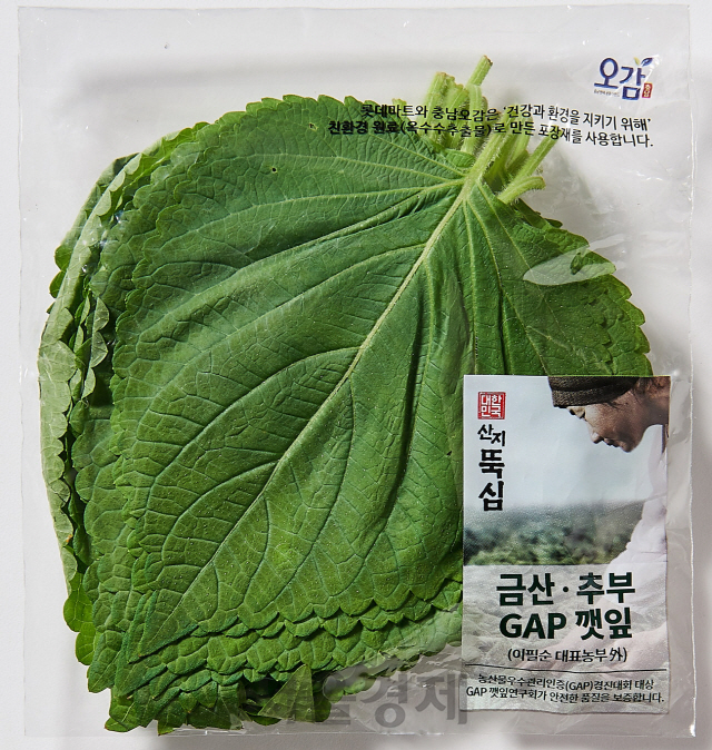 금산 추부 GAP 깻잎. /사진제공=롯데마트