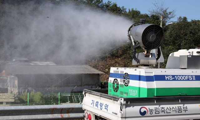 '돼지열병 확산 막는다' 인천·경기북부 멧돼지 총기포획 중지
