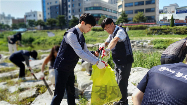 코레일테크 임직원들이 대전천에서 쓰레기를 줍고 있다. 사진제공=코레일테크