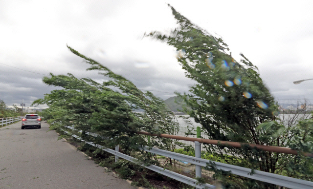 '링링' 이어 17호 태풍 '타파' 또 덮치나…'한반도로 빠르게 접근 경로, 주말 비소식'