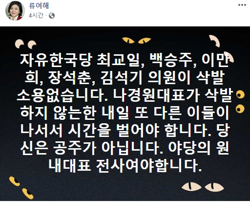 류여해 전 한국당 최고위원 페이스북 캡처