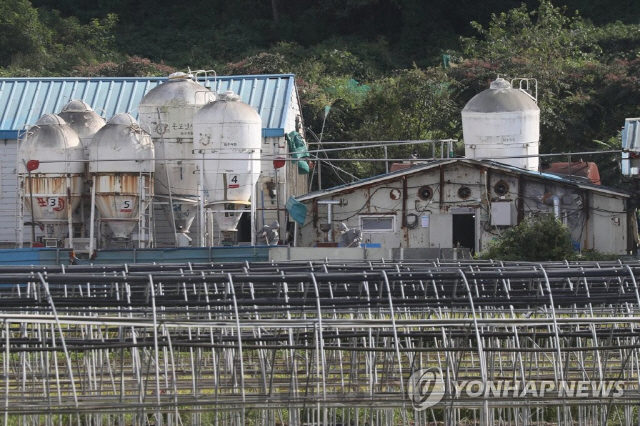 9일 경기도 파주시의 아프리카돼지열병(ASF) 발생 양돈농가에서 방역당국이 농장 내부를 정리하고 있다. /연합뉴스