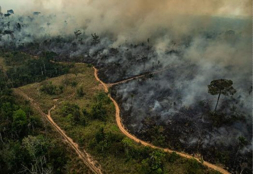 남미 9개국의 과학자들이 위기에 처한 아마존 열대우림을 보호를 위해 함께 협력에 나선다. 국제환경단체 그린피스/연합뉴스