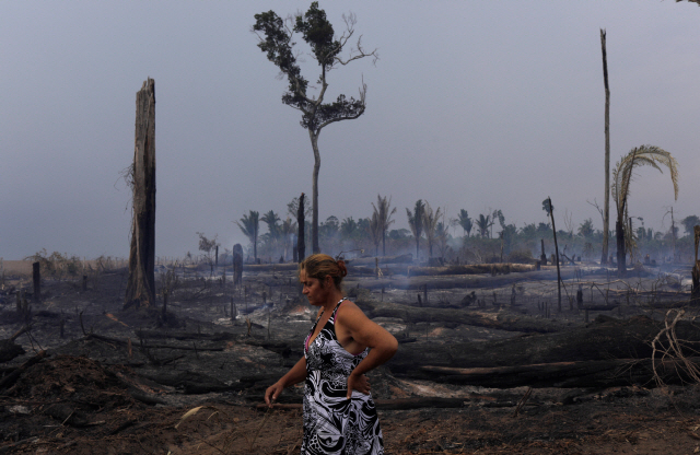산불 피해를 입은 브라질 아마존 모습 /로이터연합뉴스