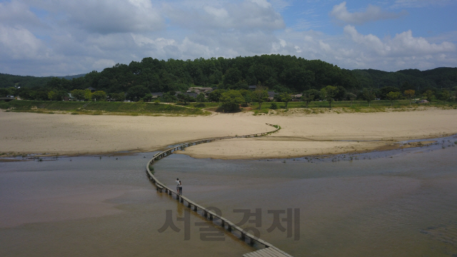 경북 영주 문수면 수도리 무섬마을로 연결된 외나무다리를 커플 한 쌍이 건너고 있다.