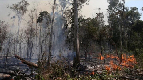 브라질 당국이 아마존 열대우림산불이 다소 진정세를 보이고 있다고 전했다. / 브라질 뉴스포털 G1, 연합뉴스