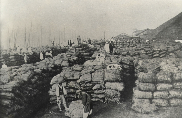 1920~1930년대 일제가 조선을 자국의 식량공급기지로 만들기 위해 추진한 산미증식계획에 따라 우리 농민들이 한 항구에서 일본으로 옮겨질 쌀가마니를 쌓고 있다./사진=연합뉴스