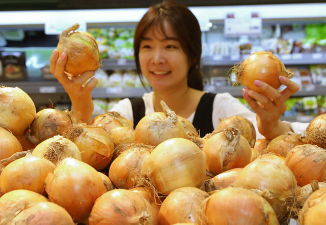 롯데마트 측이 26일 1개당 250원 짜리 양파를 소개하고 있다. 롯데마트는 공급과잉으로 어려움을 겪는 전국 양파 농가를 돕기 위해 다음달 2일까지 전 점포에서 양파를 개당 250원에 판매하는 행사를 벌인다. /사진제공=롯데마트