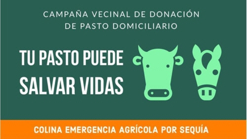 “당신의 잔디가 생명을 구할 수 있습니다” 잔디 기증 캠페인/칠레 언론 치쿠레오오이 웹사이트 캡처