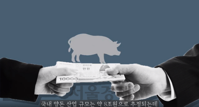[영상]'열흘만에 9건' 중국보다 빠른 돼지열병 확산 … 이대로는 한국이 위험하다?