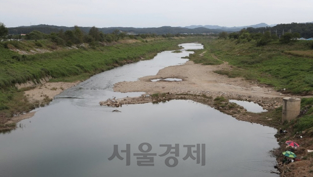 환경부는 아프리카돼지열병(ASF) 감염경로를 추적하기 위해 북측에서 남측으로 흘러오는 하천을 대상으로 바이러스 검사를 추진한다고 19일 밝혔다. 사진은 19일 경기도 연천군의 ASF 발생 양돈농가 인근에 있는 사미천의 모습이다. 북에서 남으로 흐르는 사미천은 비무장지대(DMZ)를 거쳐 임진강으로 합류한다./연합뉴스