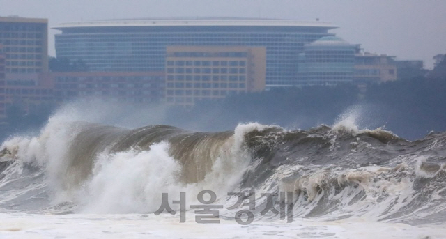 1일 북한이 한반도를 향해 북상하는 제18호 태풍 ‘미탁’에 대한 대비를 강조했다. /연합뉴스