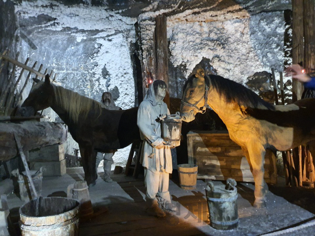 비엘리치카 소금광산의 조각상. 다 큰 말은 광산 안으로 데리고 들어올 수 없어 광부들은 망아지를 광산 안으로 데리고 와 일하는 데 사용했다.