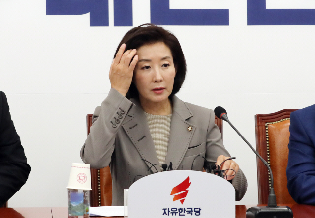 나경원 자유한국당 원내대표 /연합뉴스