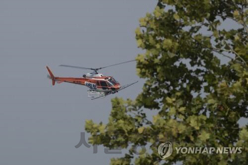 '돼지열병 확산 막아라'… 軍, DMZ·민통선이북 일대서 이틀째 항공방역