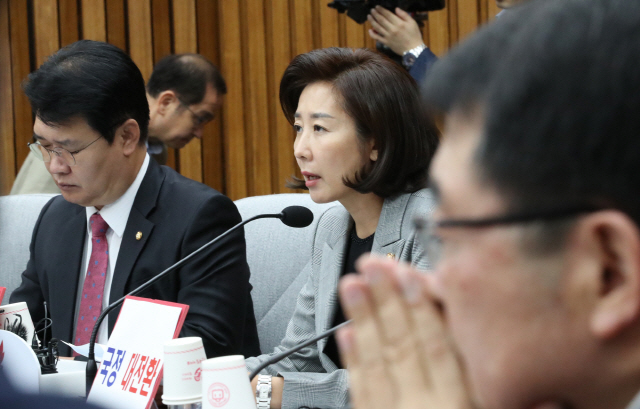 나경원 자유한국당 원내대표가 15일 국회에서 열린 ‘文실정 및 조국 심판’ 국정감사 중간점검회의에서 발언하고 있다./연합뉴스