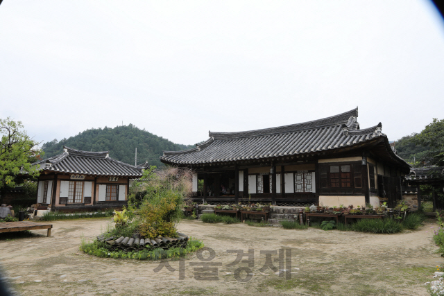 마당에 야생화 화분이 옹기종기 모여 있는 경상북도 봉화군 춘양면 의양리 만산고택.