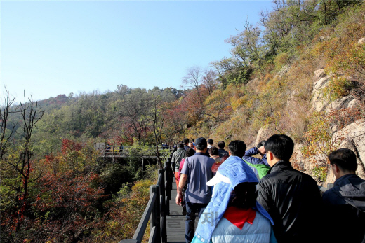 가을의 정취가 물씬 풍기는 서울 서대문구 안산(鞍山) 자락길을 시민들이 걷고 있다. 안산 자락길은 평평한 목재로 조성돼 있어 유모나, 휠체어는 물론 남녀노소 누구나 산행을 즐길 수 있다. /사진제공=서대문구