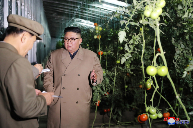 김정은 북한 국무위원장이 경성군 중평남매새온실농장과 양묘장건설장을 방문해 현지지도하고 있다. 조선중앙통신은 18일 해당 사진을 공개했다. /연합뉴스