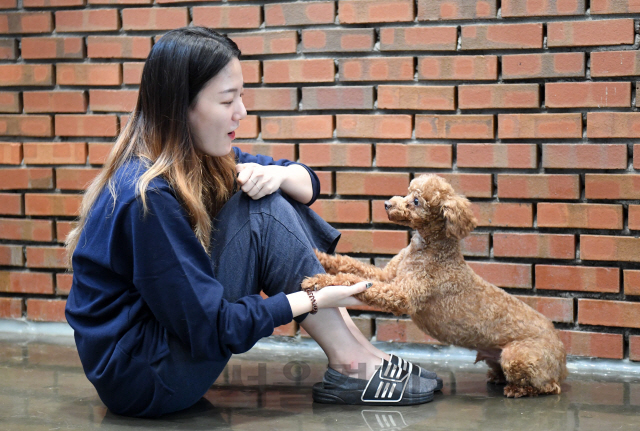 서울 강동구에 위치한 유기동물 분양센터 ‘리본’에서 유기·유실견 관리를 맡고 있는 김기정씨가 지난 23일 리본 사무실에서 강아지와 함께 시간을 보내고 있다. /권욱기자