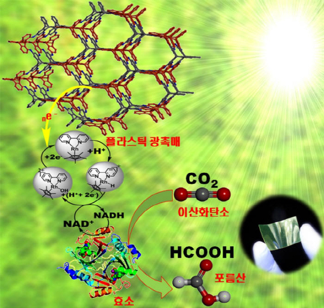 엽록소 모방해 '빛 연금술' 구현...韓과학 '청정경제' 길 연다