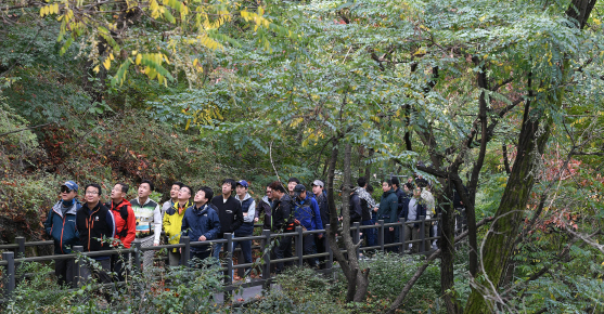 ‘단풍길 걷기, 쉬나무 가을콘서트’ 참가자들이 안산 자락길을 걷고 있다./오승현기자