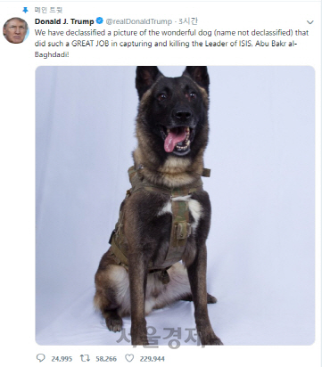 트럼프, 알바그다디 잡은 군견 사진 공개...'아주 멋진 개'