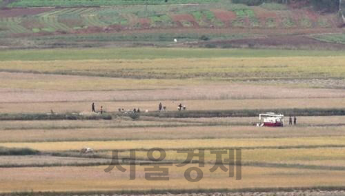 북한 노동당 창건 기념일인 지난달 10일 경기도 파주시 오두산 통일전망대에서 바라본 북한 황해북도 개풍군 일대에서 주민들이 추수하고 있다./연합뉴스