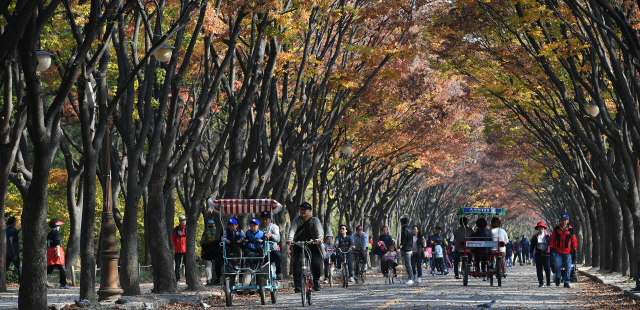 3일 오후 인천시 남동구 인천대공원에서 나들이객들이 아름드리 느티나무가 양쪽으로 펼쳐진 단풍터널을 산책하며 만추의 정취를 만끽하고 있다./인천=오승현기자 2019.11.03