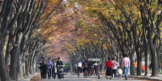 3일 오후 인천시 남동구 인천대공원에서 나들이객들이 아름드리 느티나무가 양쪽으로 펼쳐진 단풍터널을 산책하며 만추의 정취를 만끽하고 있다./인천=오승현기자 2019.11.03