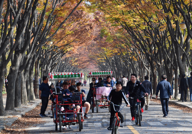 3일 오후 인천시 남동구 인천대공원에서 나들이객들이 아름드리 느티나무가 양쪽으로 펼쳐진 단풍터널을 산책하며 만추의 정취를 만끽하고 있다./인천=오승현기자 2019.11.03