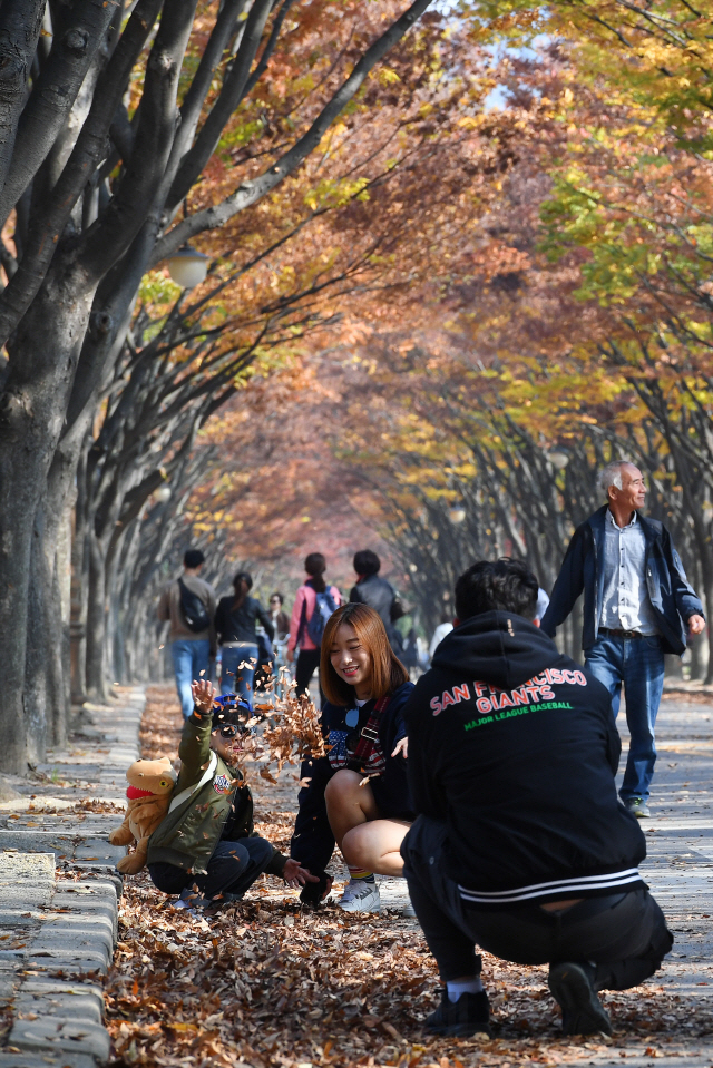 3일 오후 인천시 남동구 인천대공원에서 나들이객들이 아름드리 느티나무가 양쪽으로 펼쳐진 단풍터널을 산책하며 만추의 정취를 만끽하고 있다./인천=오승현기자 2019.11.03